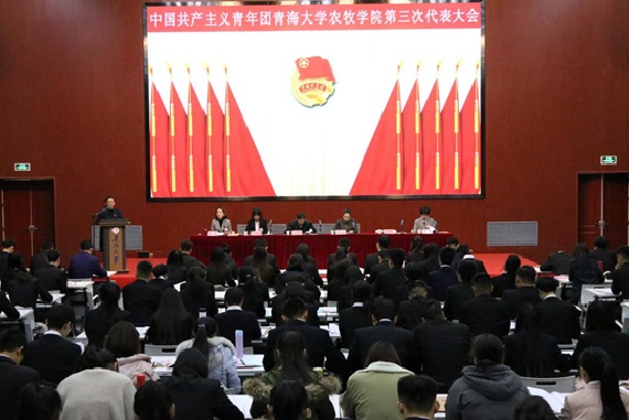 3b8acbf12447480abce771d84ca54b7a.jpg