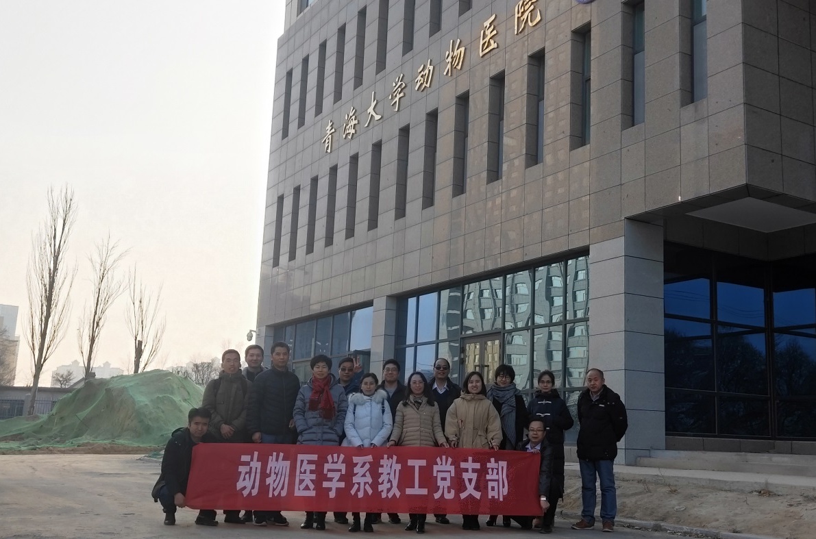 b625b9fea8504f709d188be414fcbeff.jpg