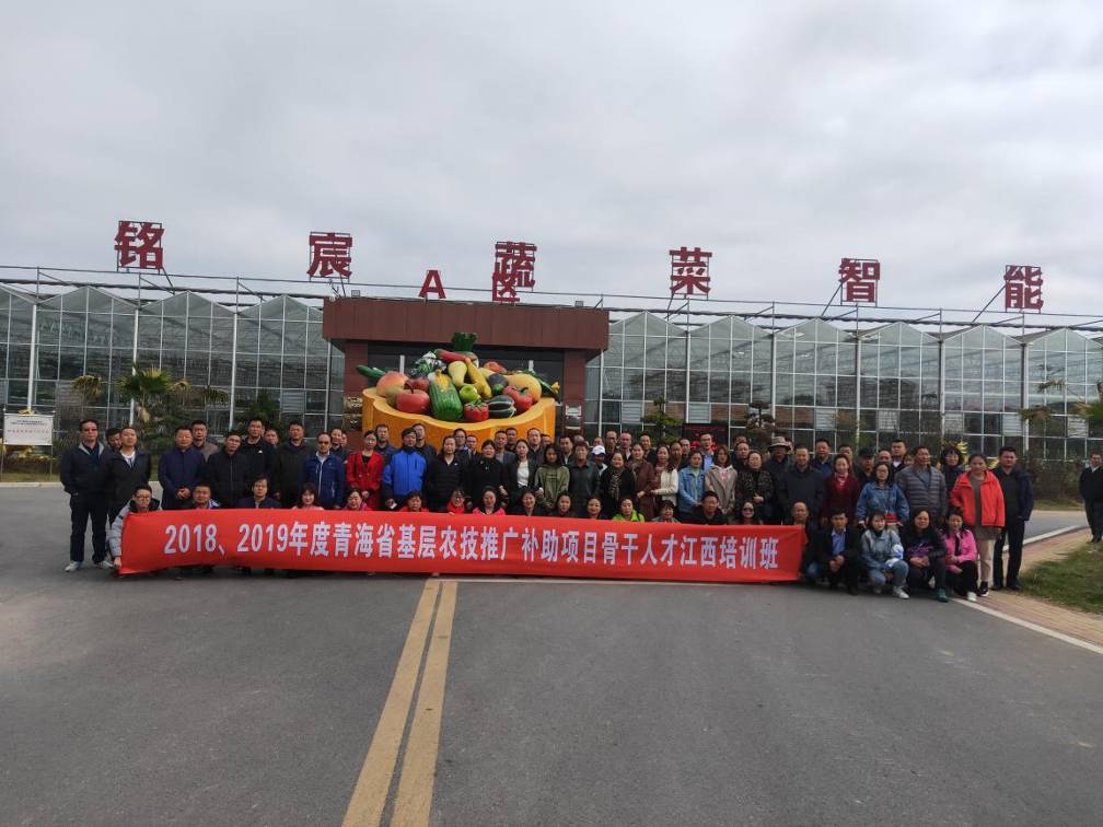 ddc606a25dc84279b50e9ca590b2c016.jpg
